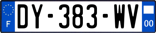 DY-383-WV