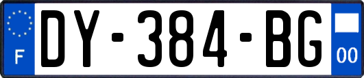 DY-384-BG