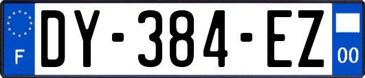 DY-384-EZ