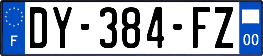 DY-384-FZ