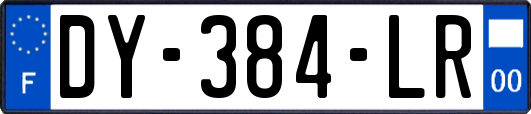 DY-384-LR