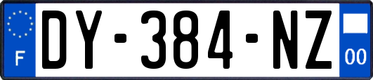 DY-384-NZ