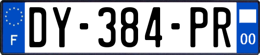 DY-384-PR