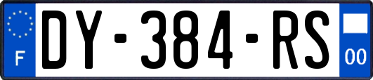 DY-384-RS
