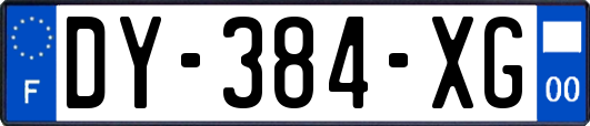 DY-384-XG