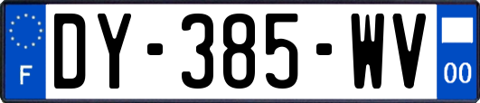 DY-385-WV