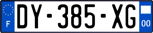 DY-385-XG