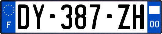 DY-387-ZH