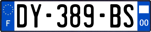 DY-389-BS