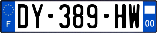 DY-389-HW