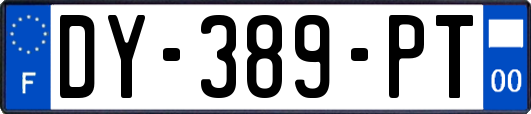 DY-389-PT