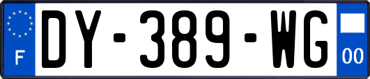 DY-389-WG