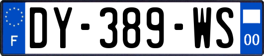 DY-389-WS