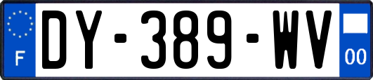 DY-389-WV