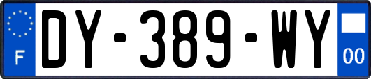 DY-389-WY