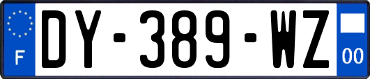 DY-389-WZ