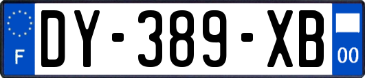 DY-389-XB