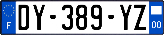 DY-389-YZ