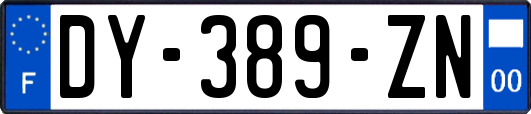 DY-389-ZN