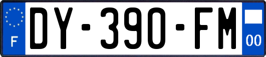 DY-390-FM