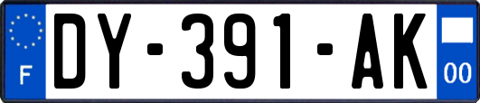 DY-391-AK