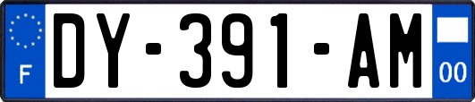 DY-391-AM