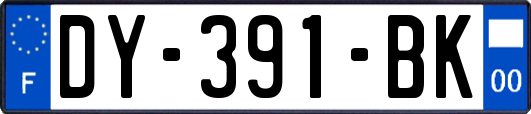 DY-391-BK