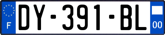 DY-391-BL