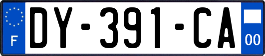 DY-391-CA