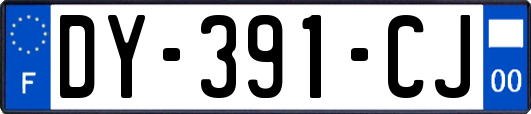 DY-391-CJ