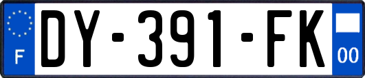 DY-391-FK