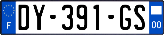 DY-391-GS