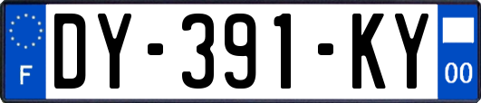 DY-391-KY
