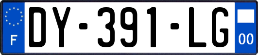 DY-391-LG