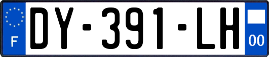 DY-391-LH