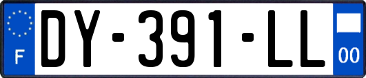 DY-391-LL