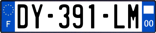 DY-391-LM