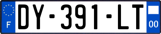 DY-391-LT