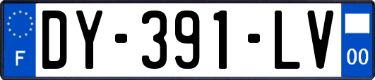 DY-391-LV