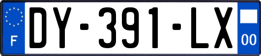 DY-391-LX