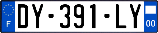 DY-391-LY