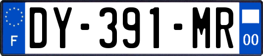 DY-391-MR