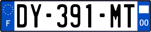 DY-391-MT