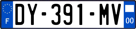 DY-391-MV