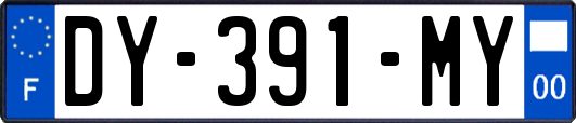 DY-391-MY