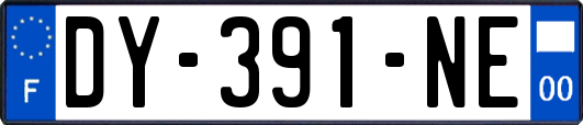 DY-391-NE