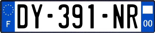 DY-391-NR