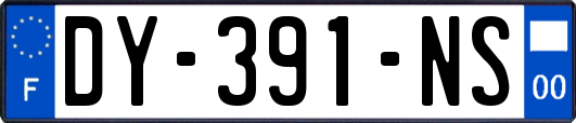 DY-391-NS