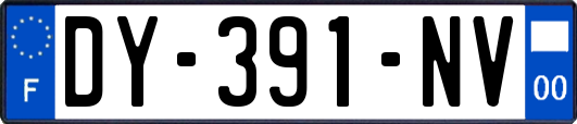 DY-391-NV