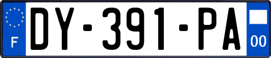 DY-391-PA